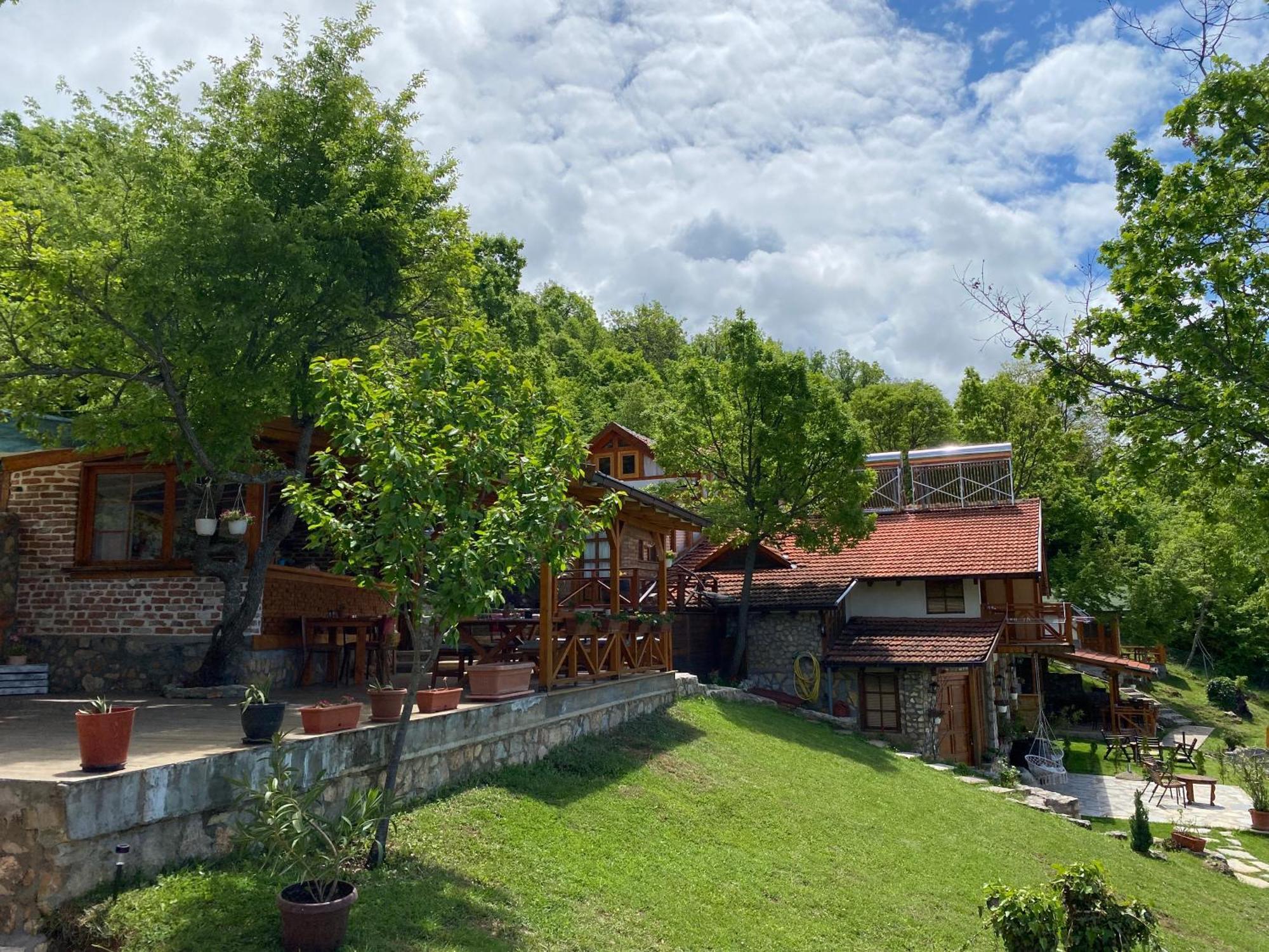 Paradise Nest Ohrid Bagian luar foto