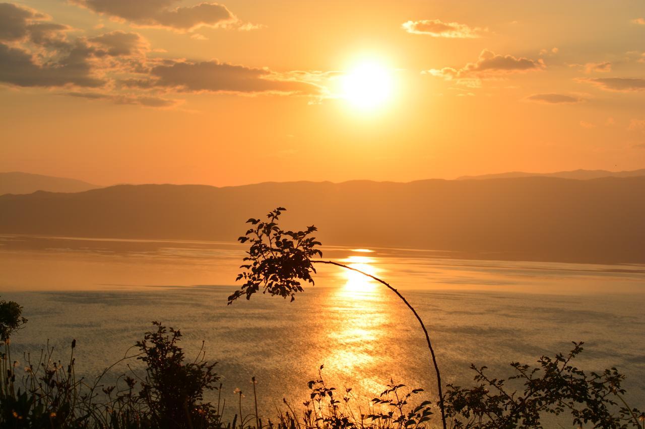 Paradise Nest Ohrid Bagian luar foto